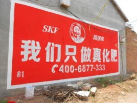 普定刷墙广告”蕴含了时代命题