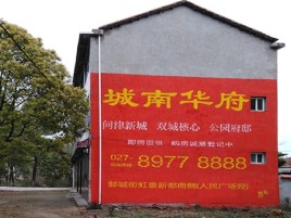 普定百分之90的人都不了解的农村墙体广告