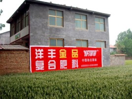 普定如何让墙体广告展现最大化效果