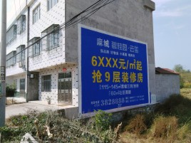普定墙体广告质量分析