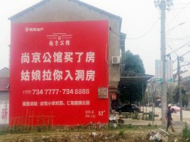 普定墙体广告在乡镇、农村市场的媒体优势