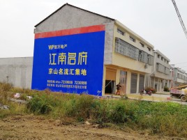普定农村墙体广告在不同形式上面展现的不同特色