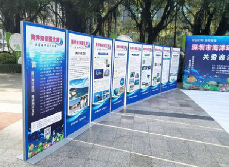 普定KT板的种类和知识。